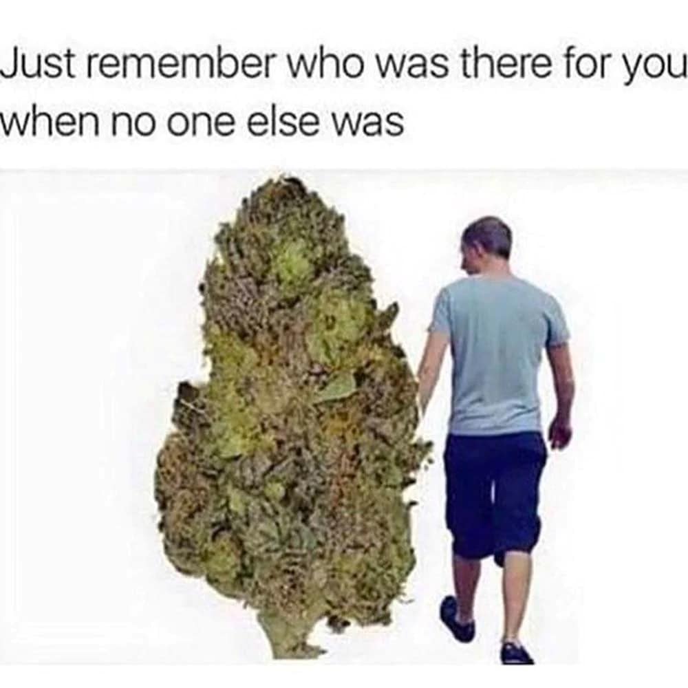 StormyVNV's tweet photo. Took my Meds this morning your turn. #PPP #Military #Veterans #VeteransForCannabis #CannabisHeals #OpStopHate #OpStopSuicide #Legalize #Cannabis #OpPharma #PillsKill #AlcoholKills #WakeUpAmerica https://t.co/VWs1kFHqog