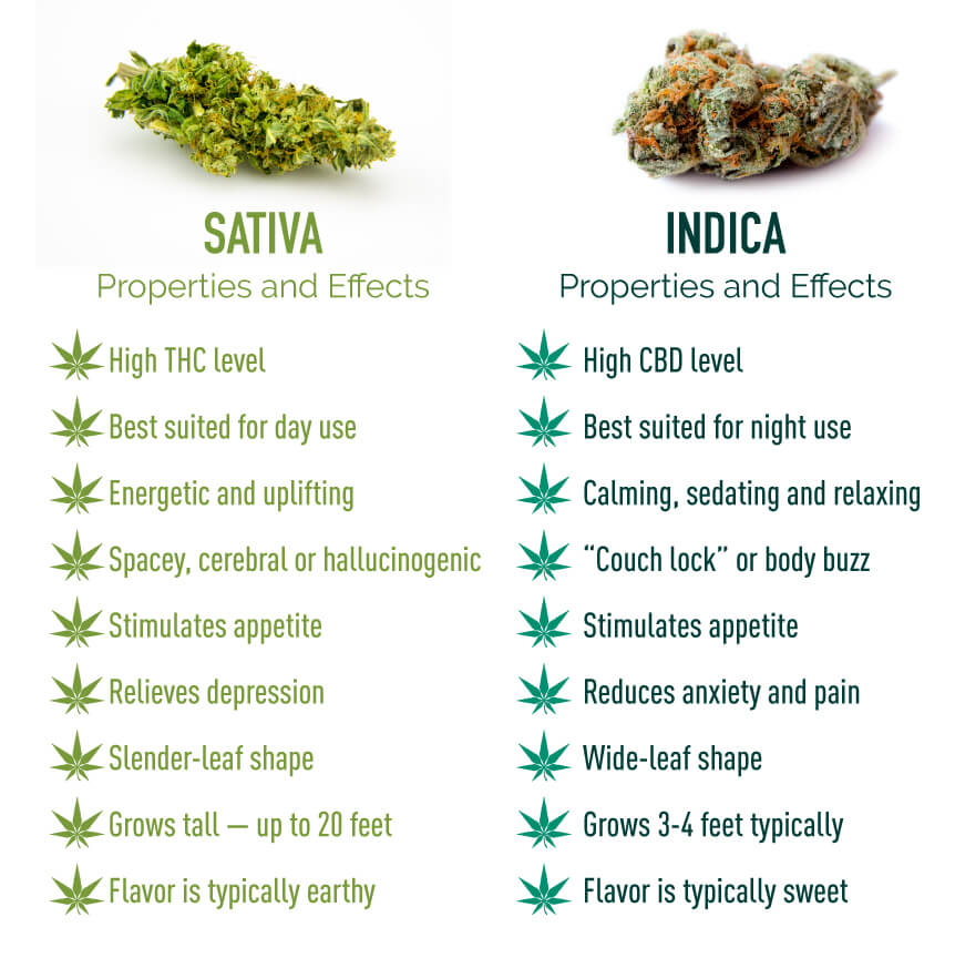 StormyVNV's tweet photo. Took my Meds this morning your turn. #PPP #Military #Veterans #VeteransForCannabis #CannabisHeals #OpStopHate #OpStopSuicide #Legalize #Cannabis #OpPharma #PillsKill #AlcoholKills #WakeUpAmerica https://t.co/VWs1kFHqog