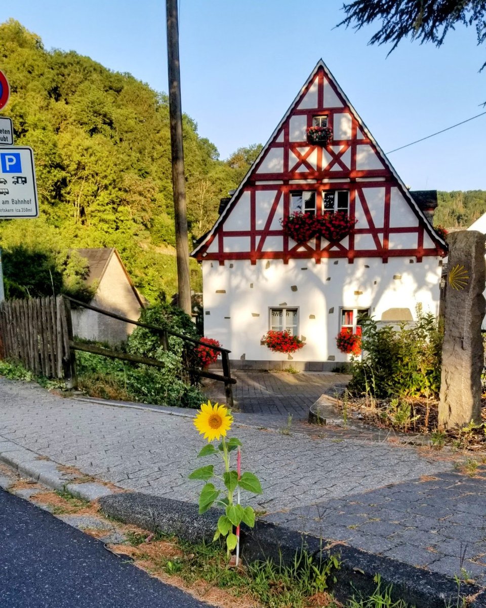 HalloEifel's tweet photo. Impressionen aus der Eifel

#eifel #wald #urlaub #ferien #freizeit #wandern #laufen #erholung #entspannung #guteluft #unterkunft #pension #schnee #hotel 
https://t.co/qoVGymb2q2 https://t.co/VM49m2UWZs