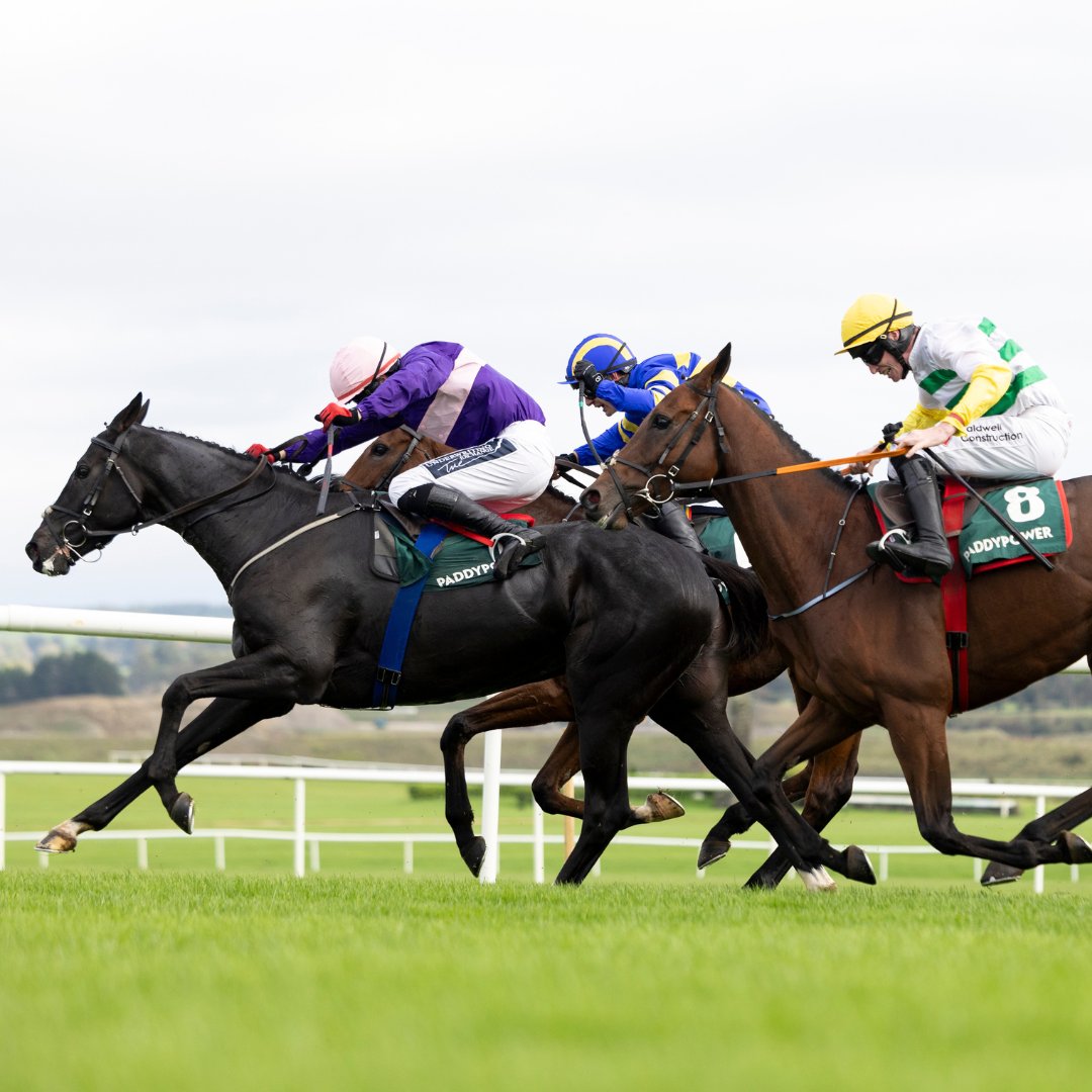 punchestownrace's tweet photo. 😍What A Day Yesterday
👉Local winners, first time winners & family triumph!
🏇Today we have a great card in store with 2⃣ GR3's to post, the @isfearranstar Chase & the @BetVictor #BuckHouse Novice Chase
⏰First race 1.50pm
👉Full Card >> https://t.co/MjNj8W2pkk #JumpsAreBack https://t.co/HqKI86olg5