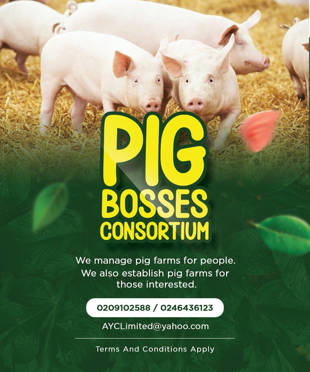 Ways_n_Meanz's tweet photo. I am your PIG BOSS 🐽😎 https://t.co/kIo7b7LAaf