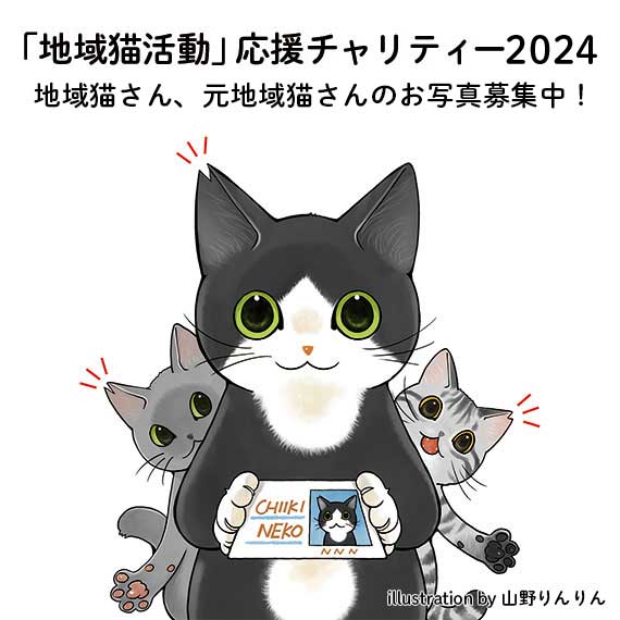 【募集】〈1/2〉
毎年みにゃさまからご支援いただいている「地域猫活動応援チャリティー」の2024年企画が進行中です！

来年のカタログに掲載する、イラストのように耳先をV字カットした「地域猫」さんのお写真をリプライで募集します😺

2023年企画のカタログ⇒felissimo.co.jp/ecatalog/?cata…