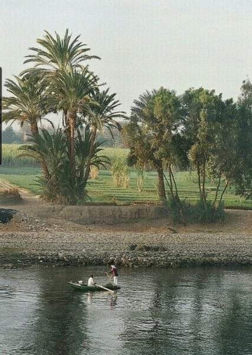 Sara018222's tweet photo. وإن سألوك عن مصر 🇪🇬قل لا شئ يشبه سحرها
🇪🇬❤️🇪🇬❤️🇪🇬
#انتخبوا_السيسي_بيخافوا_منه
#thisisEgypt
#Egyptissafe...💕🇪🇬💕 https://t.co/m9H0c6fR24