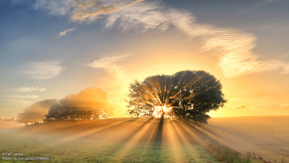 1x_com's tweet photo. Results of the 1x photo contest 'Shooting against the sun' https://t.co/dqNbJrwcBr #contest #photography #againstthelight #winners #gallery #1xmagazine https://t.co/NnIR0J8ui2