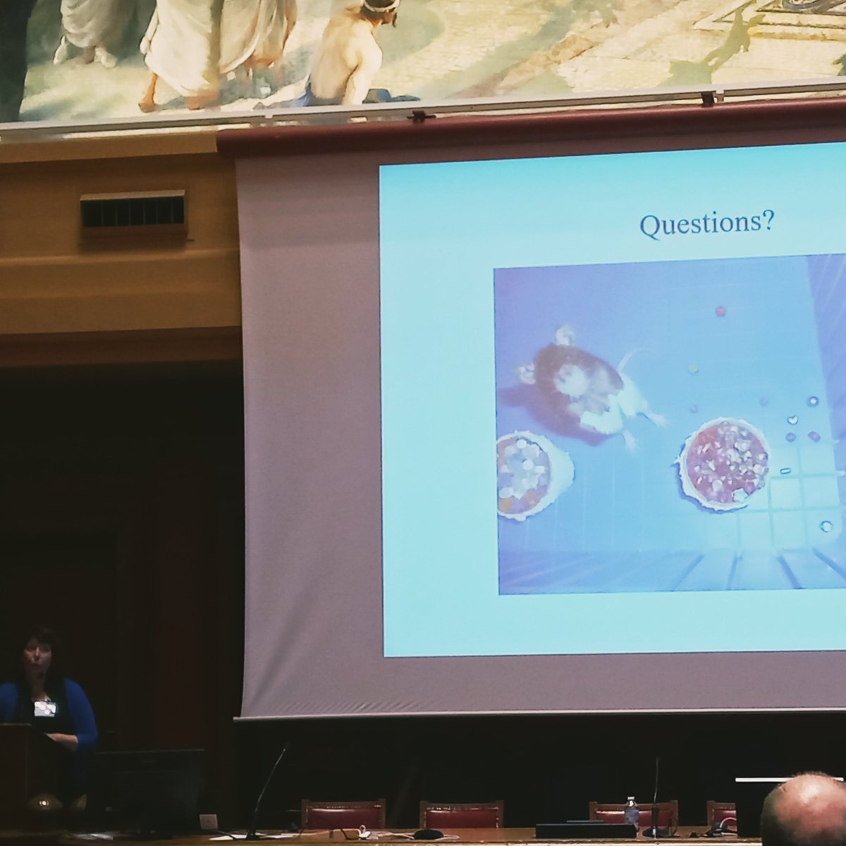 Jill McGaughy on attention set shifting, at #mcc2023 
Lots to digest here