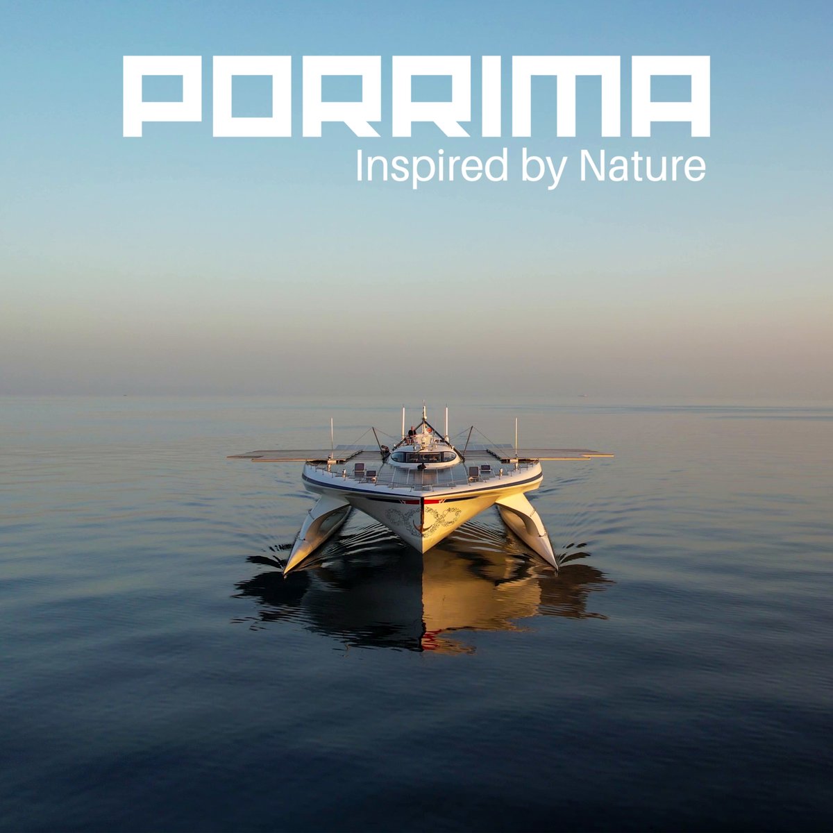 Gunter Pauli tweet media