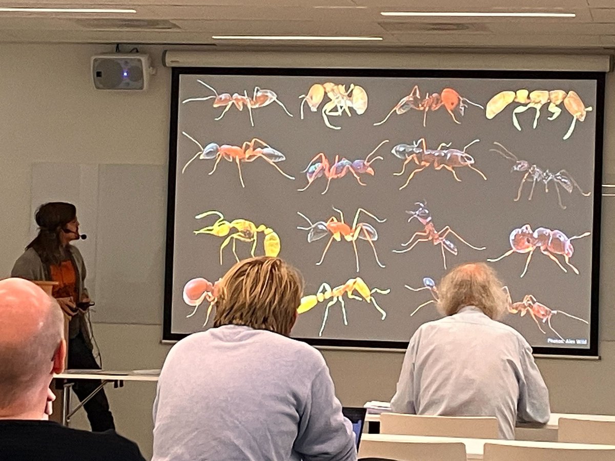 GAgudeloC's tweet photo. Today I had the privilege to introduce the Venomics group to my @CEESUiO peers during the CEES Student Conference 2023.
@biovitenskap https://t.co/krCZrCDsjA
