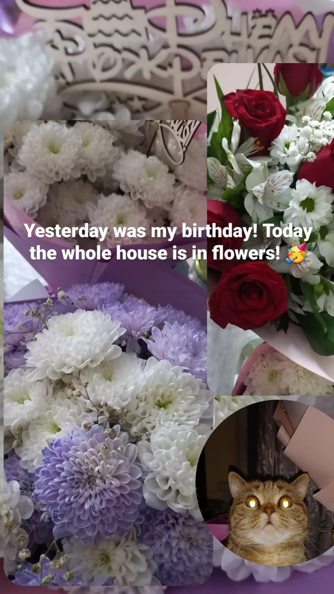 Good morning to all !
#NABU
#NFTwittingClub
#nftcommunity