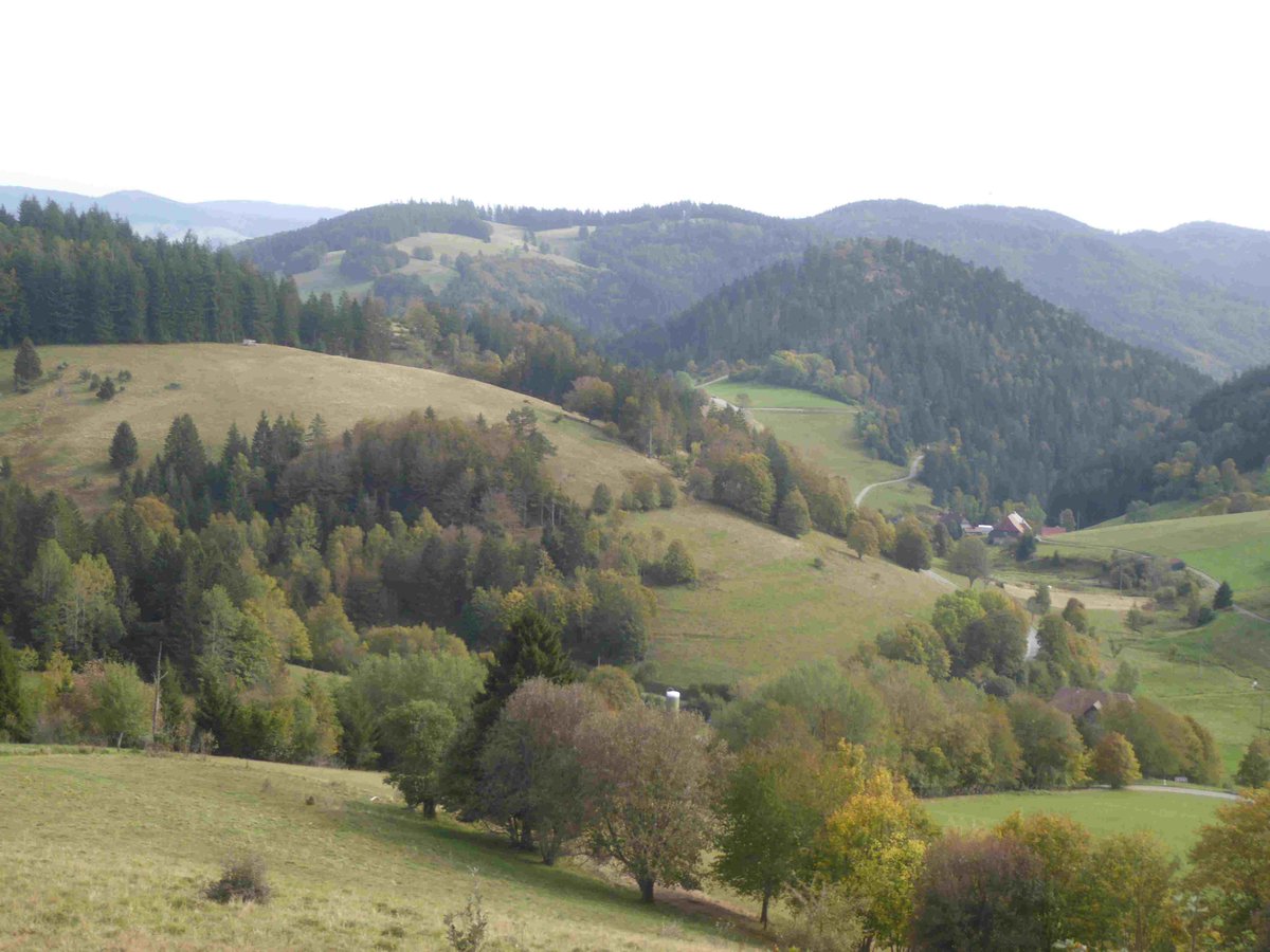 HSderSchreiber's tweet photo. Wie schön es im #Südlichen_Schwarzwald ist. Beweis: Blick auf den #Belchen und auf eine prächtige Landschaft. https://t.co/HkuFd8kLKy