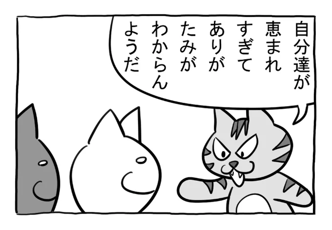 ねこまんがかいてみた315「ありがたみ」

#ねこ #ネコ #猫 #白猫 #黒猫 #猫漫画 #4コマ #4コマ漫画 #四コマ漫画 #マンガ #漫画 #おやすみ #布団 #野良猫 #漫画が読めるハッシュタグ 