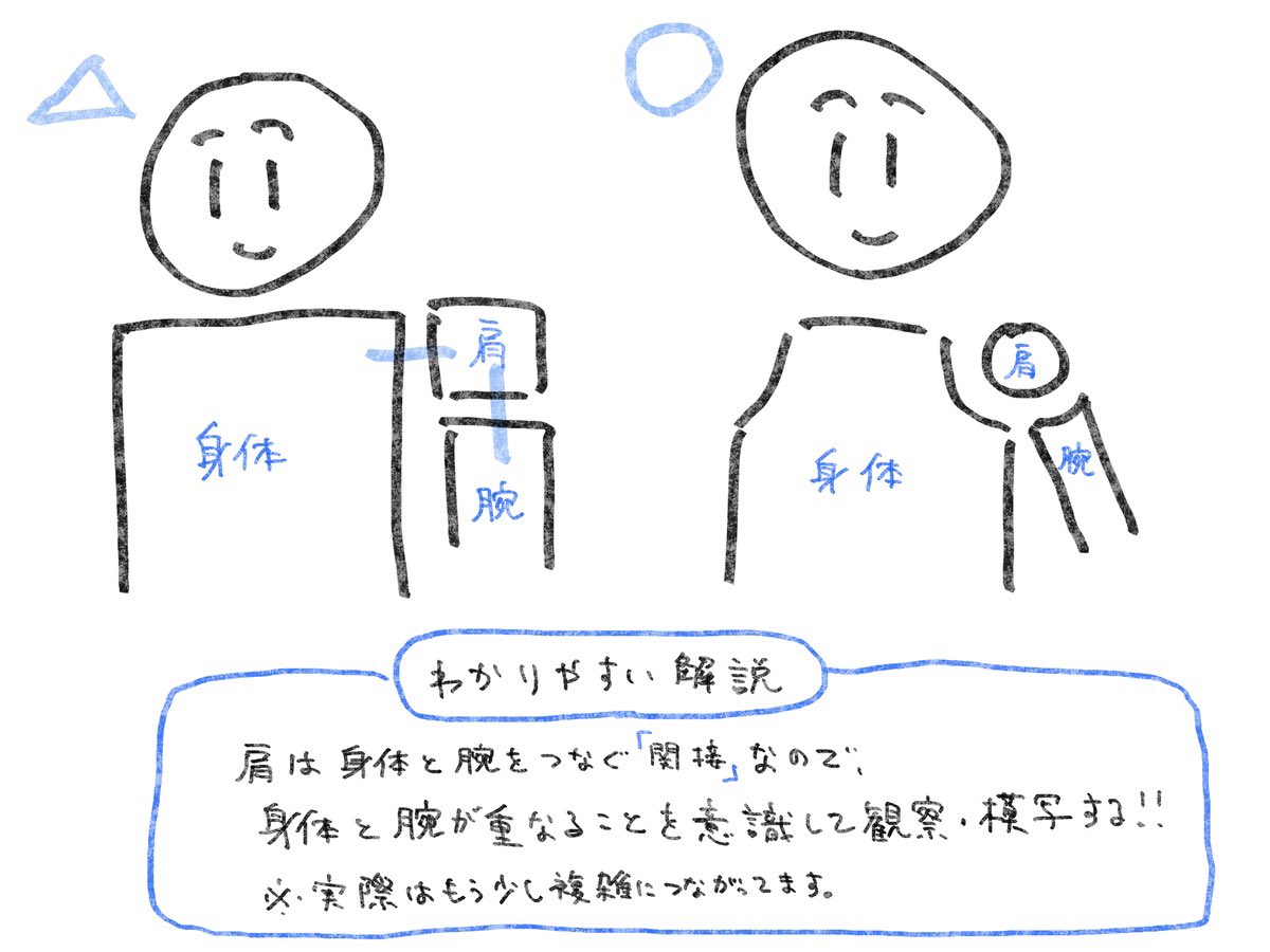 TIPS【関節】 肩や肘が上手く描けない人必見!!