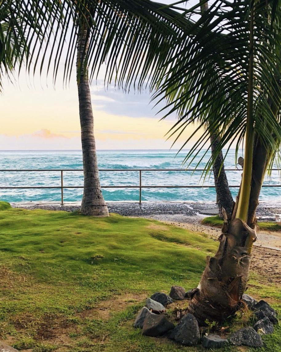 mzk_cyc's tweet image. アスリートチェックイン完了🤙🌺こんなロケーションの中トライアスロンできるのが最高でしかない🥹🥹🥹
@IRONMANtri 🏊‍♀️🚴‍♀️🏃‍♀️
#IMWC2023