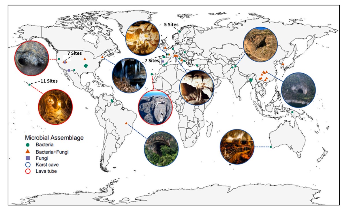 ManuDelgadoBaquerizo (@manudelbaq) on Twitter photo New <a href="/BioFunLab/">BioFunLab</a> <a href="/IRNAS_CSIC/">IRNAS Sevilla</a> @csic
Outdoor climate drives diversity patterns of dominant microbial taxa in caves worldwide
sciencedirect.com/science/articl… <a href="/STOTEN_journal/">STOTEN</a>
Led by #FBiagioli w/ <a href="/ClaudiaColeine/">Claudia Coleine</a> <a href="/LauraSelbmann/">Laura Selbmann</a> #YFeng #CSaizJimenez New <a href="/BioFunLab/">BioFunLab</a> <a href="/IRNAS_CSIC/">IRNAS Sevilla</a> @csic
Outdoor climate drives diversity patterns of dominant microbial taxa in caves worldwide
sciencedirect.com/science/articl… <a href="/STOTEN_journal/">STOTEN</a>
Led by #FBiagioli w/ <a href="/ClaudiaColeine/">Claudia Coleine</a> <a href="/LauraSelbmann/">Laura Selbmann</a> #YFeng #CSaizJimenez