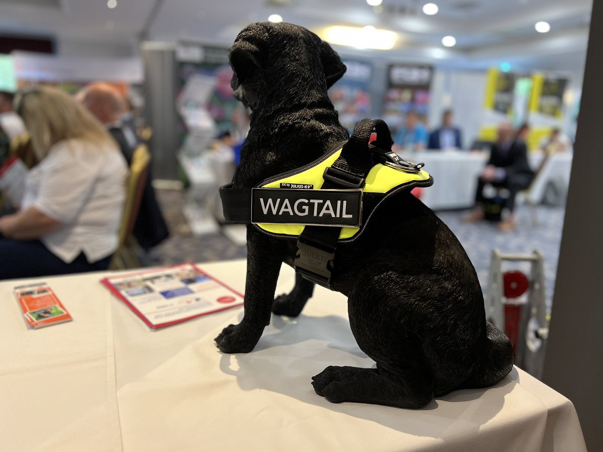 WagtailUK_dogs's tweet photo. We’re at the Football Safety Officers Association Autumn Conference &amp; Exhibition. We are proud to be a sponsor and are exhibiting at the event.
#detectiondogs #wagtail #fsoa #snifferdogs #security #stadiumsafety #stadiumsecurity #usethebest https://t.co/tZv5b3Icwd