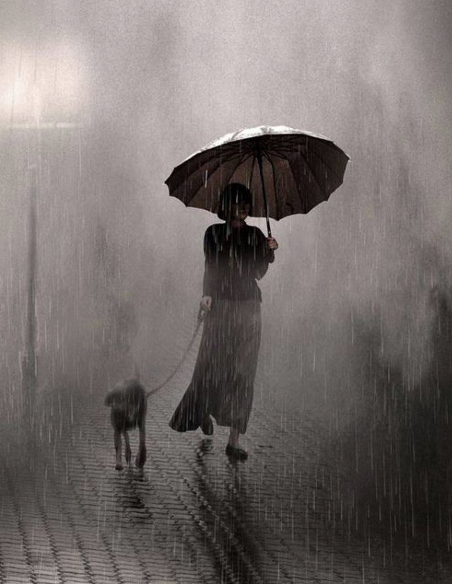 "Nunca sabrás que tu alma viaja dulcemente refugiada en el fondo de mi corazón y que nada, ni el tiempo, ni la edad, ni otros amores, impedirá que hayas existido".
Marguerite Yourcenar
📷Saul Leiter