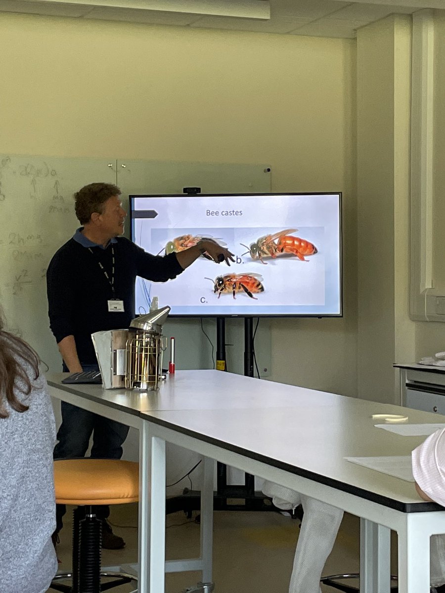Yesterday my Bader Bees project kicked off for 2023-24 at <a href="/badercollege/">Bader College</a> <a href="/herstmoncastle/">Herstmonceux Castle Estate</a>! Students identified the queen, learnt about varroa destructor mites &amp; had an intro to apiary etiquette <a href="/QueensUGlobal/">Queen's University Global</a> <a href="/QueensUBio/">Queen's Biology</a> 🐝