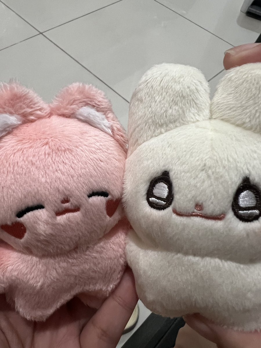 GAM3BO1VAL's tweet photo. babies 🥺🤏🏻 @szy63866813 https://t.co/FLkBNL08O4