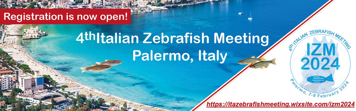EARLY BIRD REGISTRATION DEADLINE NOVEMBER 15!
4th Italian Zebrafish Meeting, University of Palermo 7-9 February 2024 
For more info visit IZM2024 website: itazebrafishmeeting.wixsite.com/izm2024 #zebrafish #IZM2024 #ItalianZebrafishMeeting