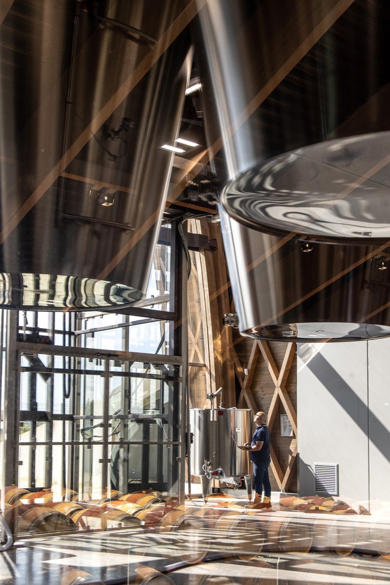 Scene in the vat room
Chai en scène

© Deepix