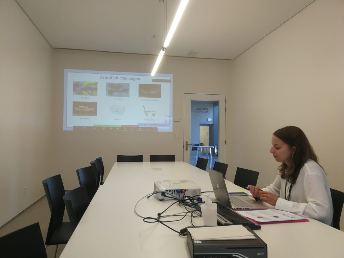 Sara Jorge (@sarasijorge) on Twitter photo Yesterday, I had the privilege of sharing our latest work in a zoom session and had the opportunity to respond to some insightful audience questions. Thanks <a href="/ZHAonline/">Zebrafish Husbandry Association (ZHA)</a> for the invitation! #fishwelfare #i3s #ciimar #zmatrix #zebrafish Yesterday, I had the privilege of sharing our latest work in a zoom session and had the opportunity to respond to some insightful audience questions. Thanks <a href="/ZHAonline/">Zebrafish Husbandry Association (ZHA)</a> for the invitation! #fishwelfare #i3s #ciimar #zmatrix #zebrafish