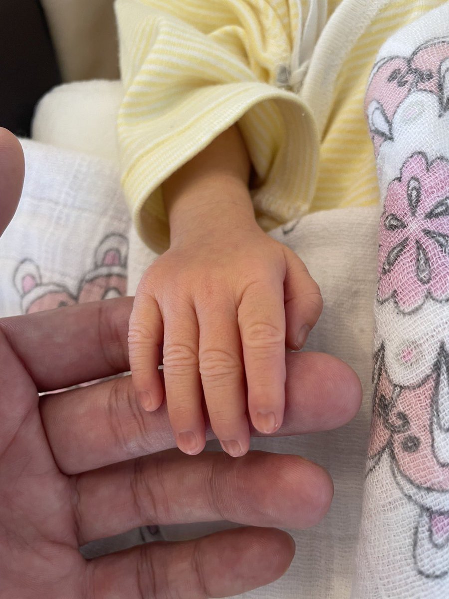 【ご報告】
この度、内田篤人に第3子となる女の子が誕生しましたことご報告させて頂きます。内田家3姉妹となりました👏

#内田家
#3姉妹
#可愛い