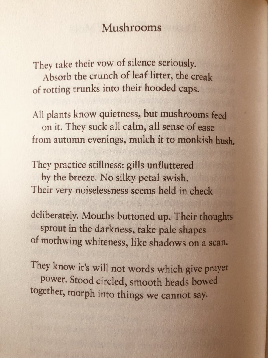 Vanessa Lampert (@nessalampert) on Twitter photo Wonderful poem from Emma Simon’s new collection ‘Shapeshifting For Beginners’ ❤️<a href="/SimpleSimonEmma/">Emma Simon</a> Wonderful poem from Emma Simon’s new collection ‘Shapeshifting For Beginners’ ❤️<a href="/SimpleSimonEmma/">Emma Simon</a>