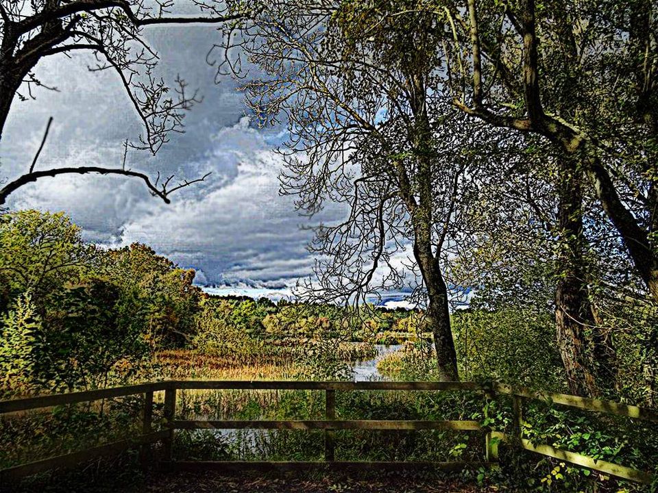 Meepsia's tweet image. 3) Not my photo below, but I filtered it 😊 (+)

#JohnnyDepp #Photoshop #FilterForge