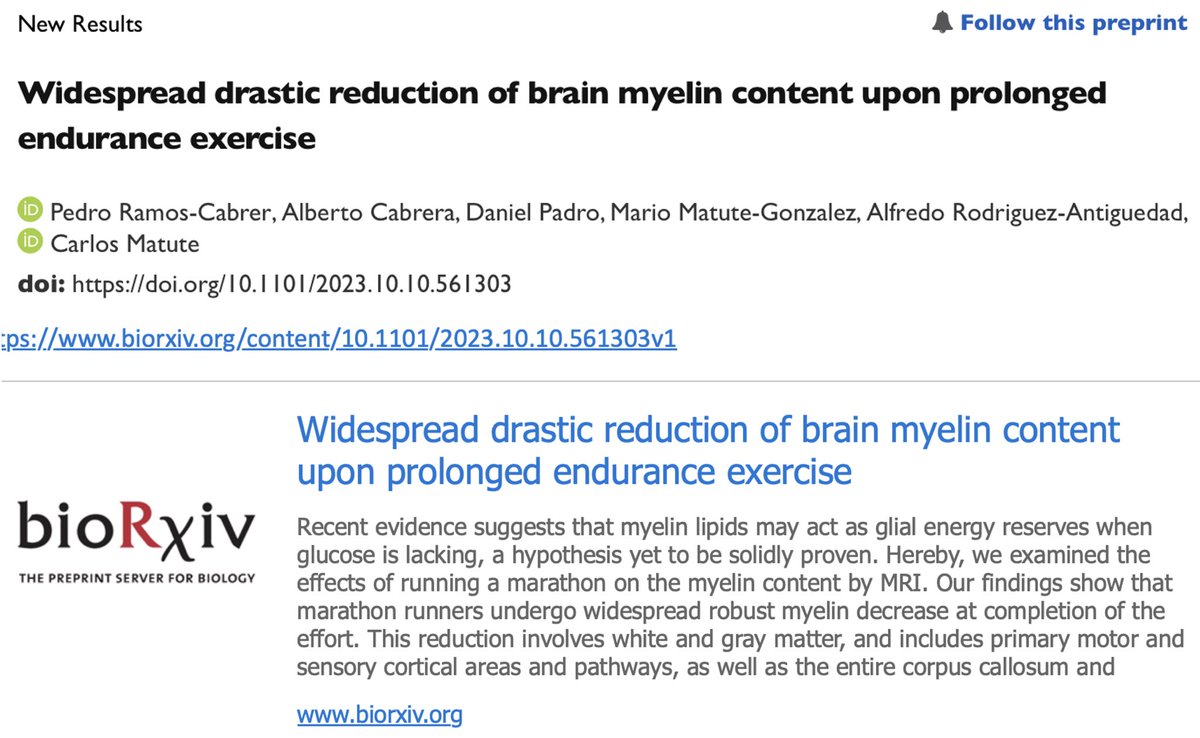 Demostracion por primera vez del papel de la mielina como sustrato energetico del cerebro “in vivo”. Abre el camino a apasionantes lineas de investigacion del funcionamiento cerebral y las enfermedades neurologicas.