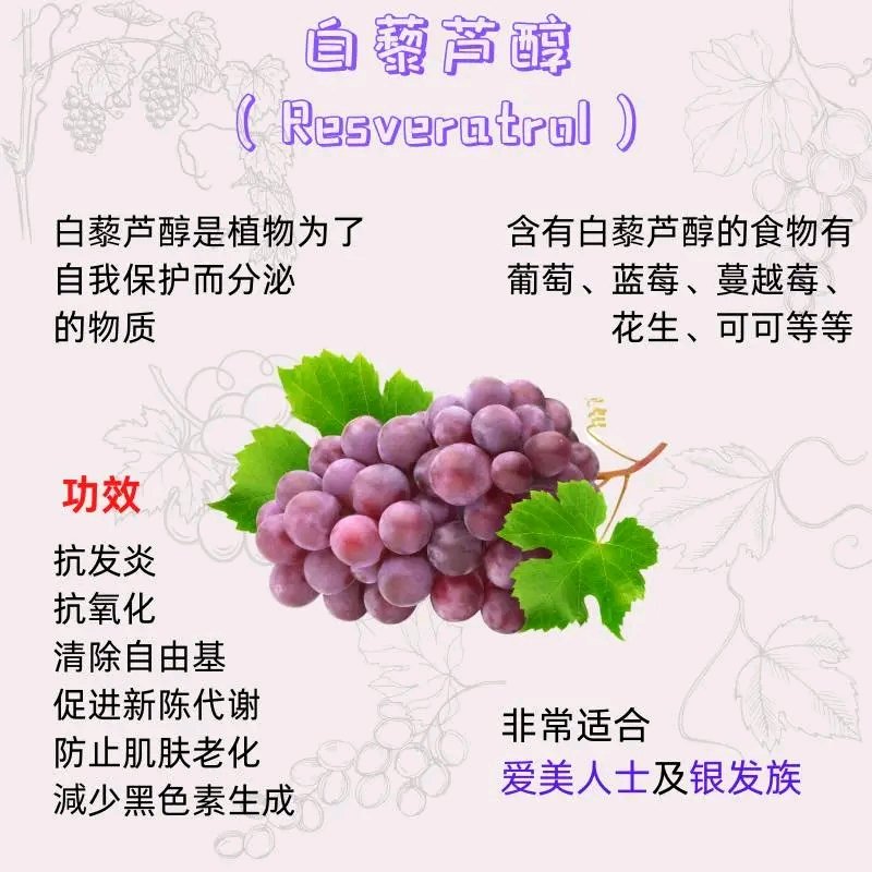 Resveratrol is beneficial for blood pressure regulation, vascular endothelial health, memory and cognitive performance, bone health, and the fight against cancer
