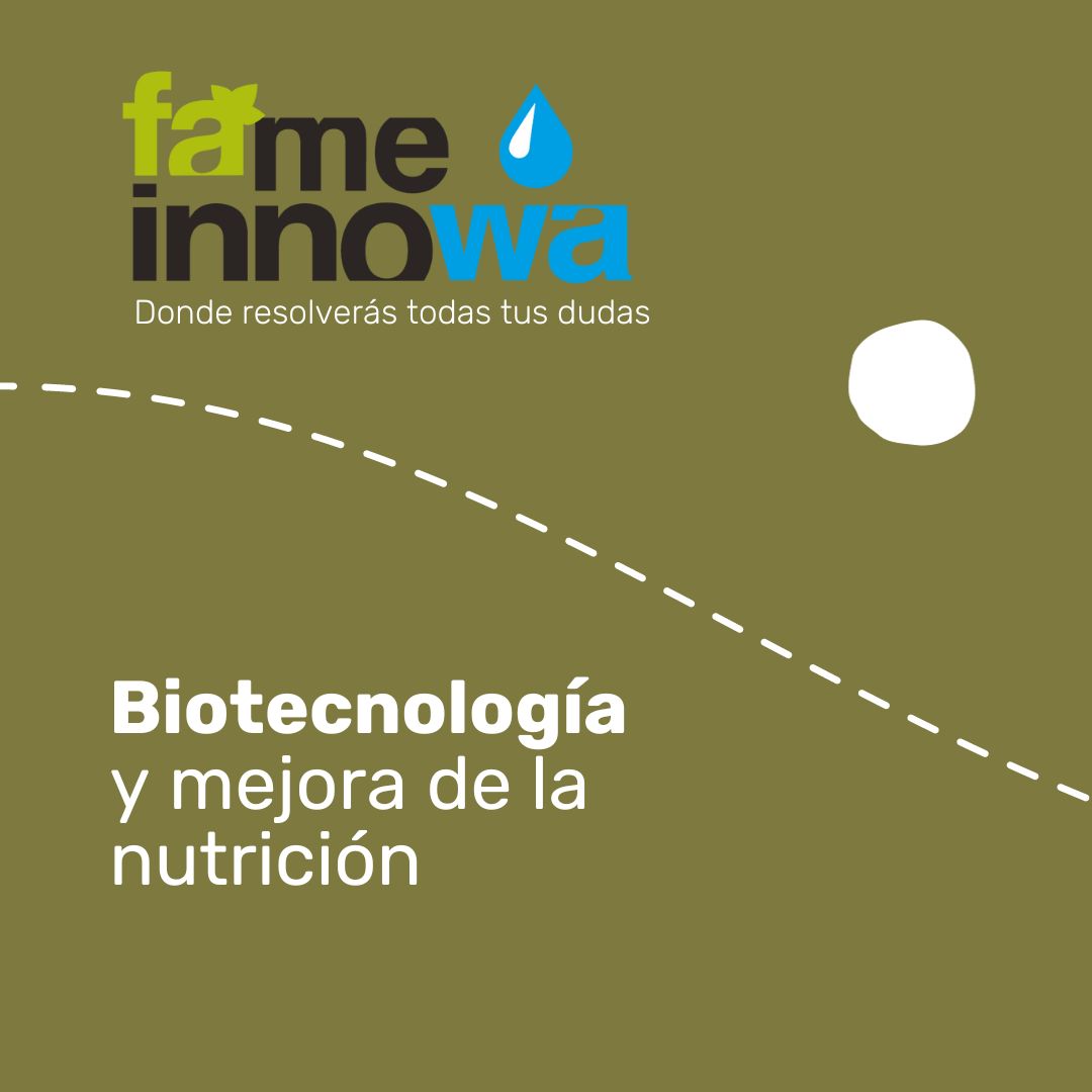 InnowaFame's tweet photo. La #biotecnología está marcando la diferencia en la #nutrición mundial. 🌍 A través de cultivos biofortificados, como el arroz dorado, rico en vitamina A, se busca combatir la malnutrición global. 🍚✨ https://t.co/9KqROHCETb