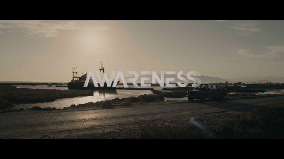 XReality Studios tweet media