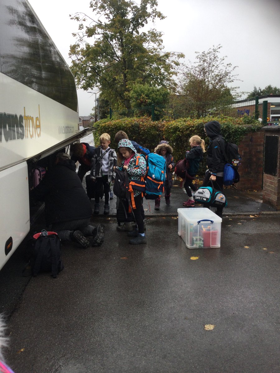 Moss Hey Primary tweet media