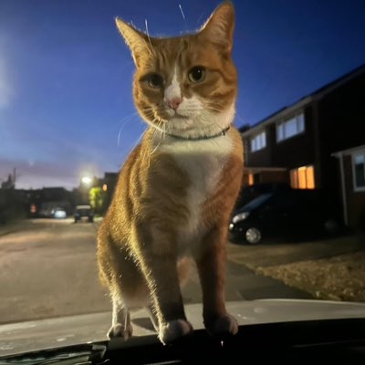 #NewProfilePic