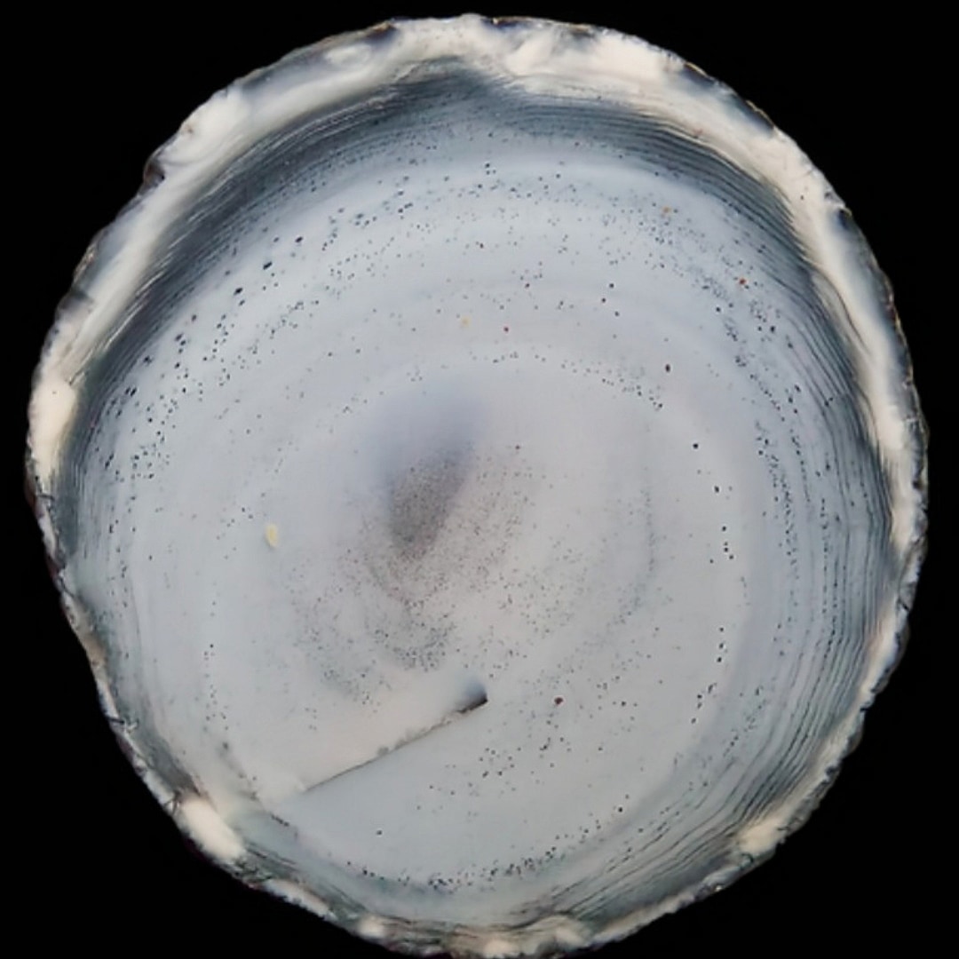 Elephant Rock (Rock of St Skae), Usan, 17mm/16mm