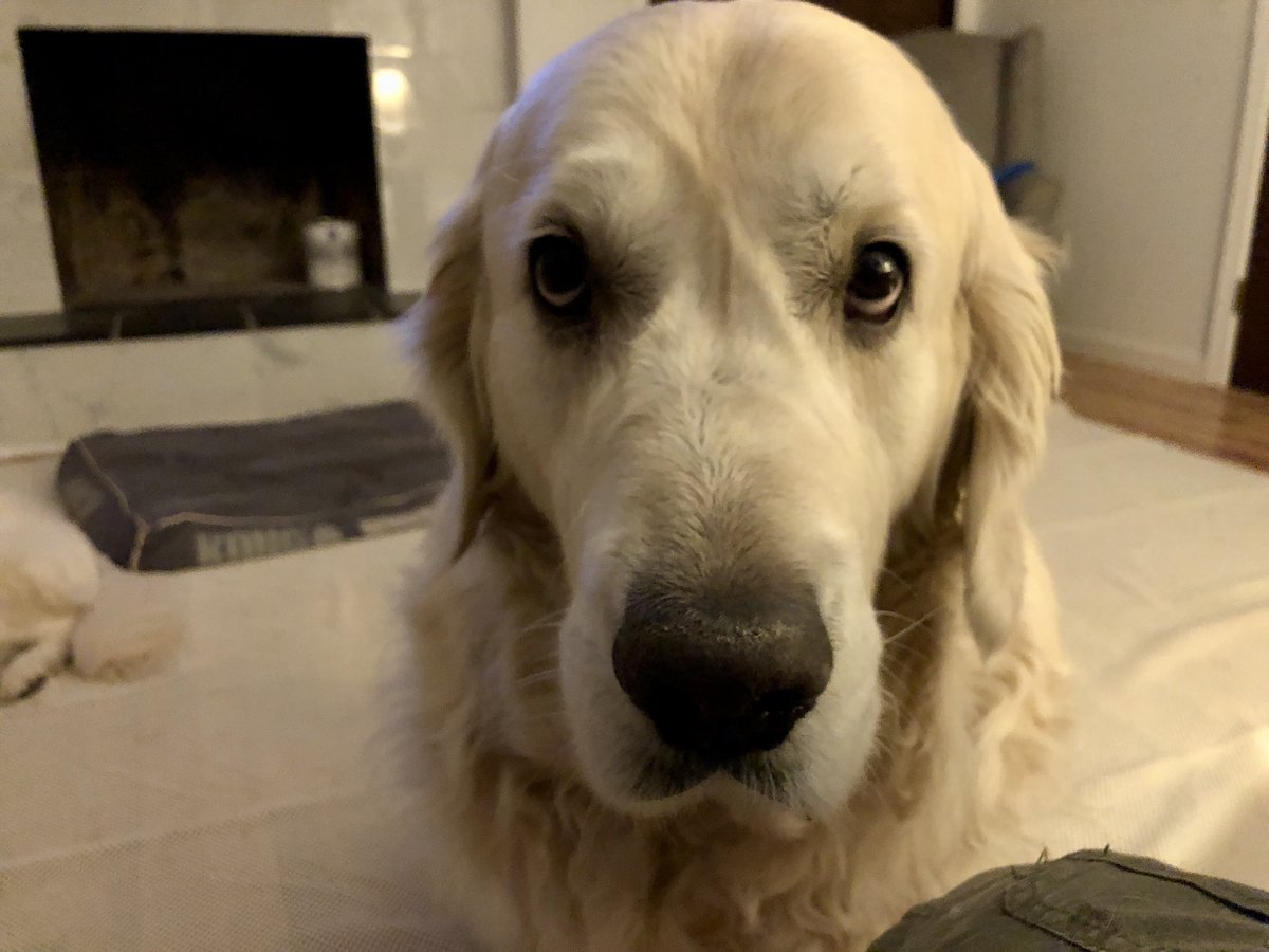 Riley, Ella Jane & Morgan🌈 tweet media