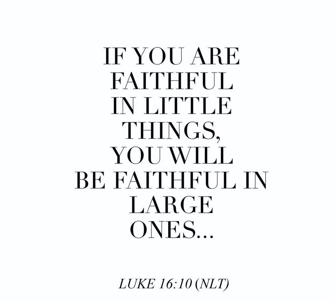 JessicaLPayne's tweet photo. I needed this this morning 🧡 https://t.co/6tVOQjQOax
