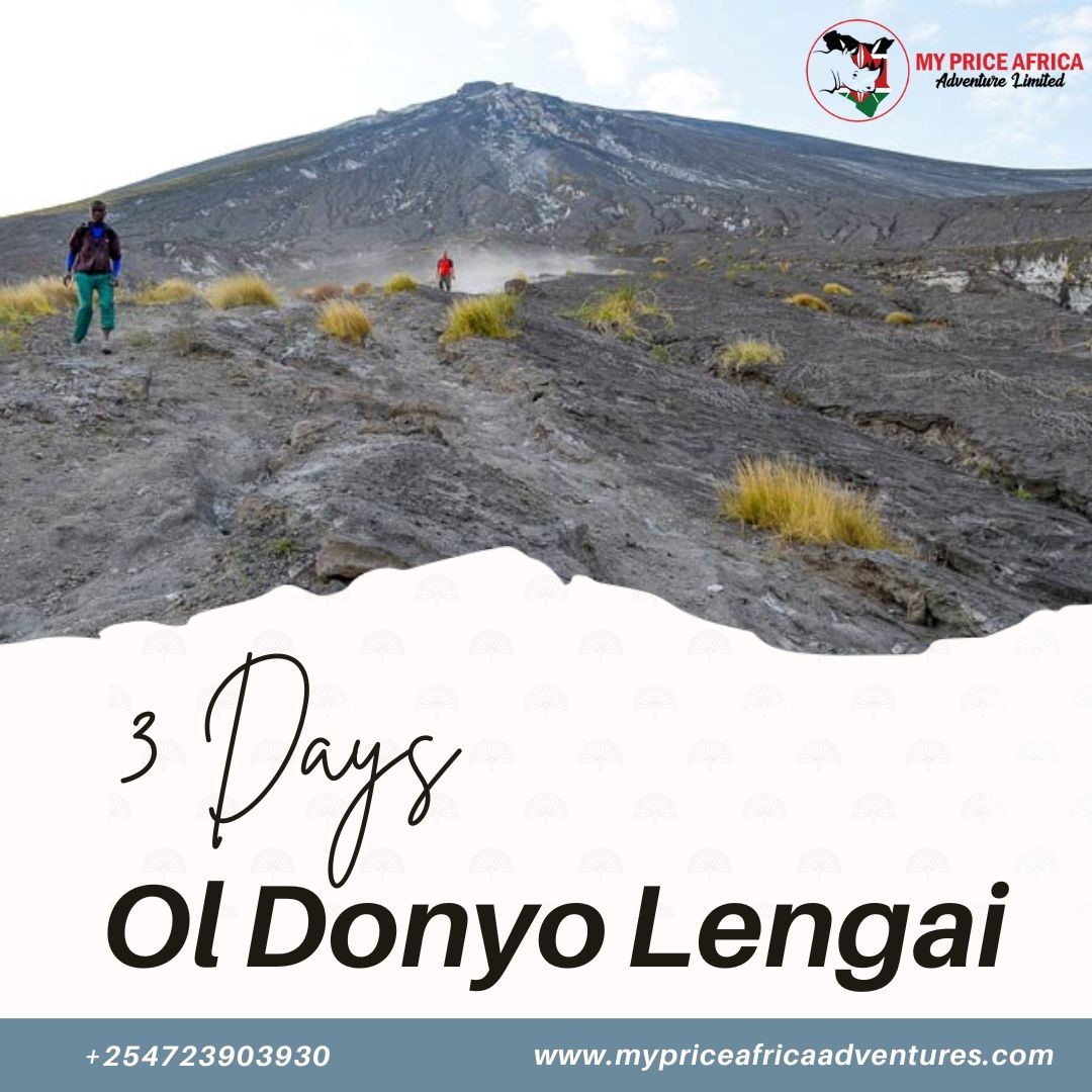 MySafaris's tweet photo. 3 Days Ol Donyo Lengai
📷📷 Ready for the adventure of a lifetime? Join us for a 3-day expedition to Ol Donyo Lengai, the mystical mountain that promises breathtaking views and unforgettable memories. Book now at https://t.co/4YHk3l2lAT!
View more here >> https://t.co/jAUn2dj2Gp https://t.co/NG3tFxY5sd