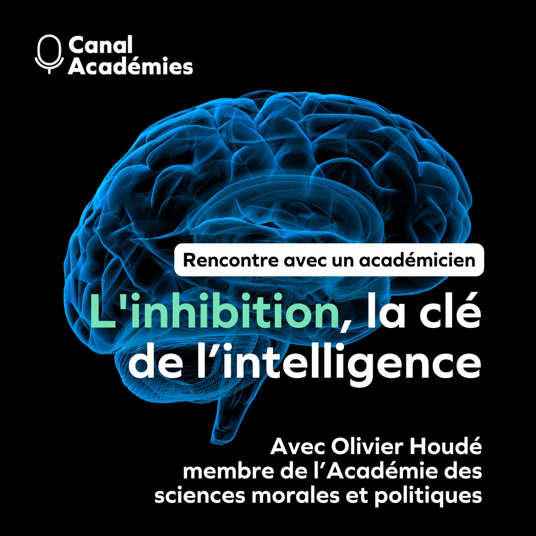 canalacademies's tweet photo. [Rencontre avec un académicien]🔉 
🧠Votre #cerveau détient-il les armes nécessaires pour survivre au tsunami #numérique qui nous submerge ?  
🎙️Avec Olivier Houdé, membre de l’@ASMP_officiel. Pour en savoir plus : https://t.co/9tXGUnevve https://t.co/kgJo6Quzfy