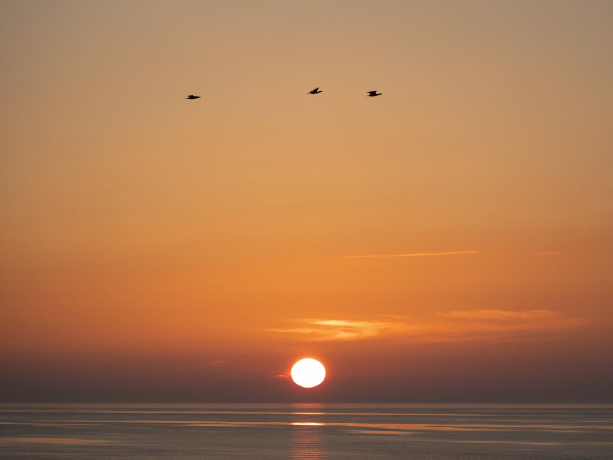 #Sunrise over the sea, #cormorant flypast, #Amble in #Northumberland. What's not to like?