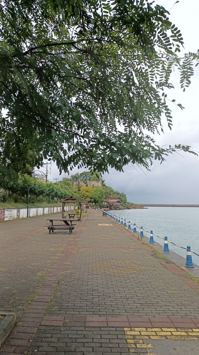 Memlekete kış gelmiştir. #tirebolu