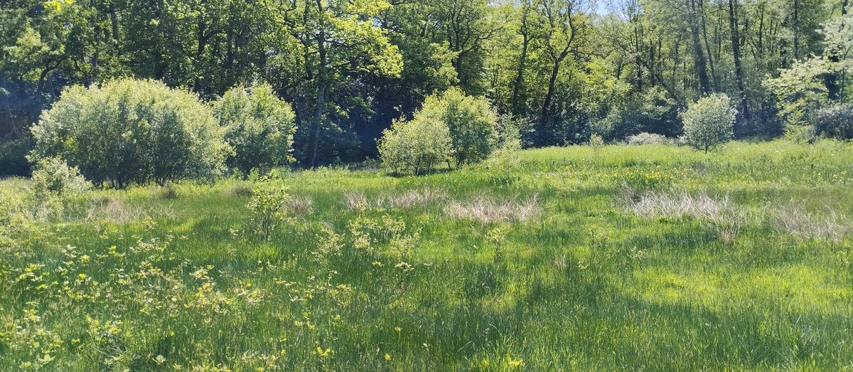 VilleDeBayonne's tweet photo. 💧 KLIMA 2023 | 19 rendez-vous sont proposés, cette semaine, à @VilleDeBayonne,  dans le cadre de la semaine KLIMA 2023 organisée par la @CommunautePB.
Des places sont notamment disponibles pour la balade nature ("de l'eau aux moulins") organisée par les membres du Conseil de Quartier des Hauts-de-Bayonne. 
En savoir plus 👉 https://t.co/LUVW87IxsZ
#BayonneMaVille