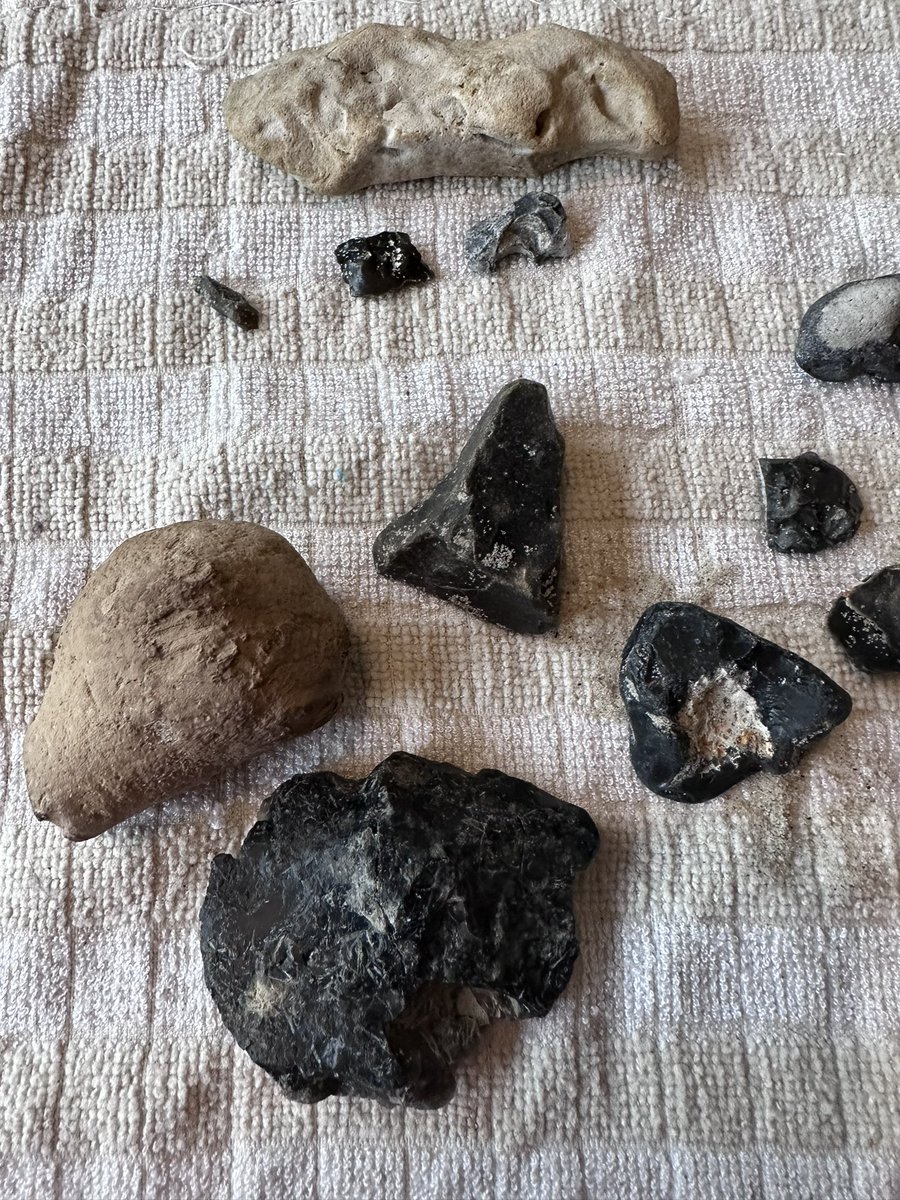 GroenLichtHeidi's tweet photo. Wat heb ik nu weer gevonden? Ik dacht een steen, maar het lijkt een kolonie vermalen schelpjes oid. Voelt ook niet aan als steen, eerder als plastic. Iemand? 
Die aardappelsteen is ook leuk, ik gok op een versteend dino-bot😁#strandvondst #vliehors #ikraapookallesop https://t.co/p6ae1Plb9c