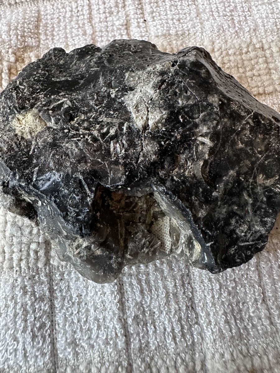 GroenLichtHeidi's tweet photo. Wat heb ik nu weer gevonden? Ik dacht een steen, maar het lijkt een kolonie vermalen schelpjes oid. Voelt ook niet aan als steen, eerder als plastic. Iemand? 
Die aardappelsteen is ook leuk, ik gok op een versteend dino-bot😁#strandvondst #vliehors #ikraapookallesop https://t.co/p6ae1Plb9c