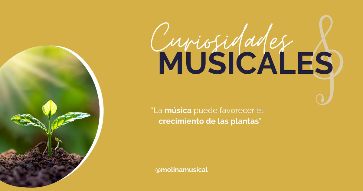 molinamusical's tweet photo. ¿Sabías que algunas investigaciones sugieren que las plantas pueden responder positivamente a la música? Algunos estudios indican que la música suave puede mejorar el crecimiento y la salud de las plantas. ¡Tal vez sea la clave para que tu jardín florezca! 🌻🎵 #molinamusical https://t.co/JHrZuljgQX