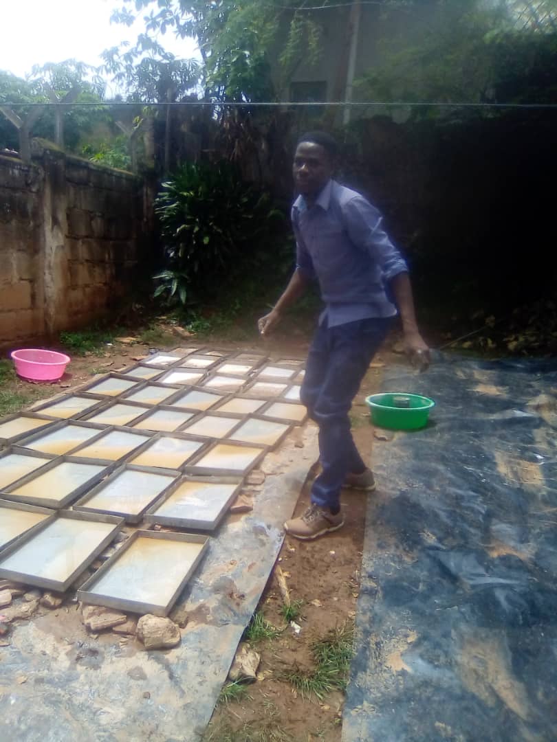 charles56049026's tweet photo. Today, we harvested 5.8 kg of dehydrated (solid) urine fertiliser; and thereafter loaded pans with liquid urine to produce more. The mixed dry/sunny (morning/early afternoon) and wet/rain (late afternoon/night/morning) is excellent for fertiliser production and plant growth. https://t.co/ehPUyNpbYr