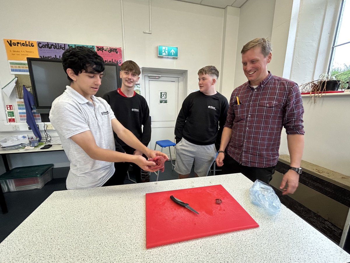 Nine Maidens APA tweet media