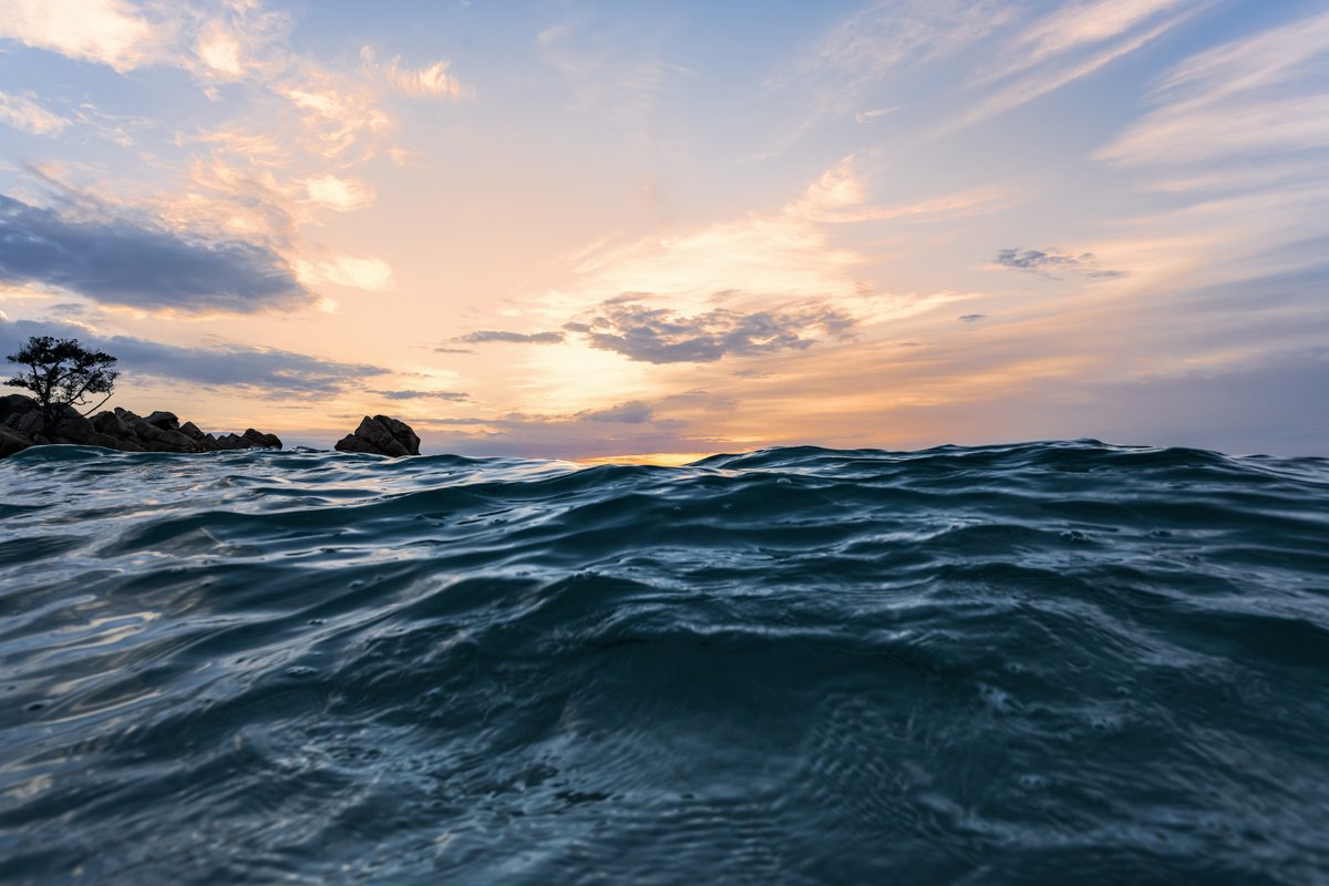 Even temporary global warming above 2°C will affect life in the oceans for centuries

Read: downtoearth.org.in/blog/climate-c…

#ClimateChange #GlobalWarming #MarineLife #MarineEcosystem