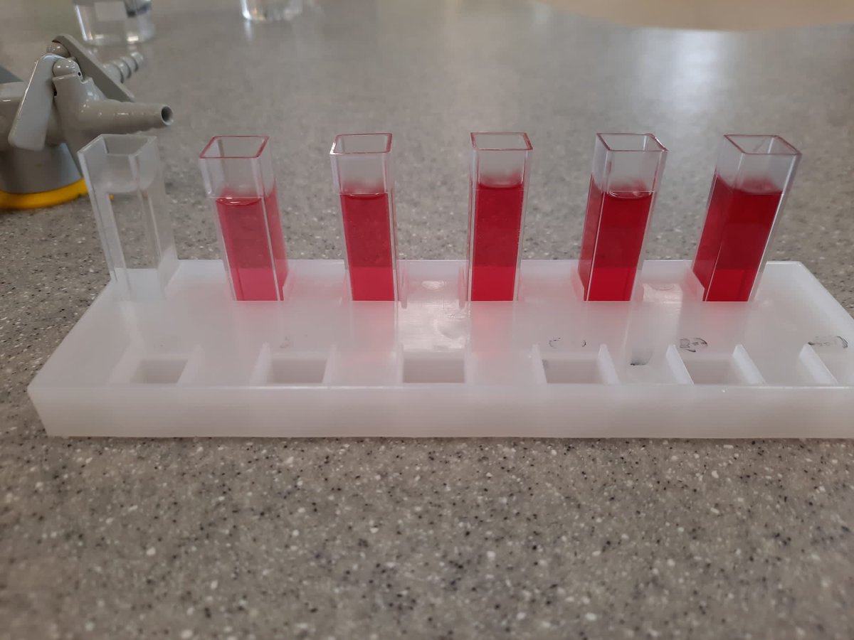 Science Department (@ksbscience) on Twitter photo Some of our #KSBSixthForm biologists carrying out one of their Required Practicals for their #KSBBiology A Level this morning. Concentrating hard! <a href="/KingsBruton/">King's Bruton</a> #KSBSuccess Some of our #KSBSixthForm biologists carrying out one of their Required Practicals for their #KSBBiology A Level this morning. Concentrating hard! <a href="/KingsBruton/">King's Bruton</a> #KSBSuccess