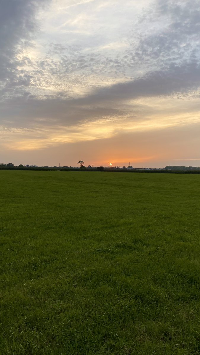 w a v e s  ~ c o f f e e  &amp;  s u n s e t s
<a href="/TheWave/">The Wave</a>