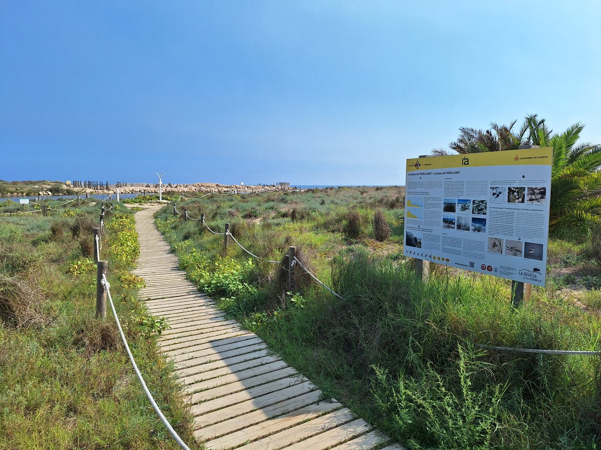 Els nostres companys @javimateog i <a href="/nuria_llopisb/">Nuria Llopis</a> han estat en el Perellonet per a escoltar directament de la <a href="/AsociacioP/">Asociación Vecin@s Perellonet</a> les reivindicacions i necessitats dels seus veïns i veïnes.

Continuarem treballant perquè no es retrocedisca en els avanços aconseguits aquests últims 8 anys